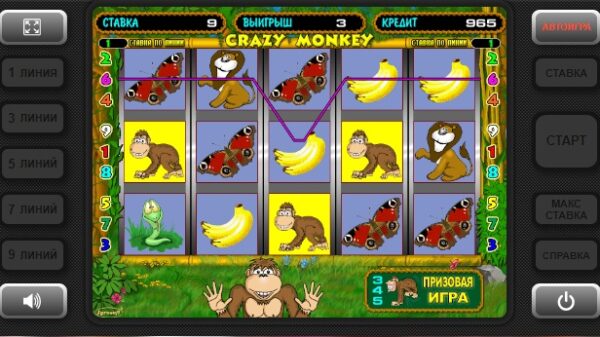 Бонусная игра с Crazy Monkey